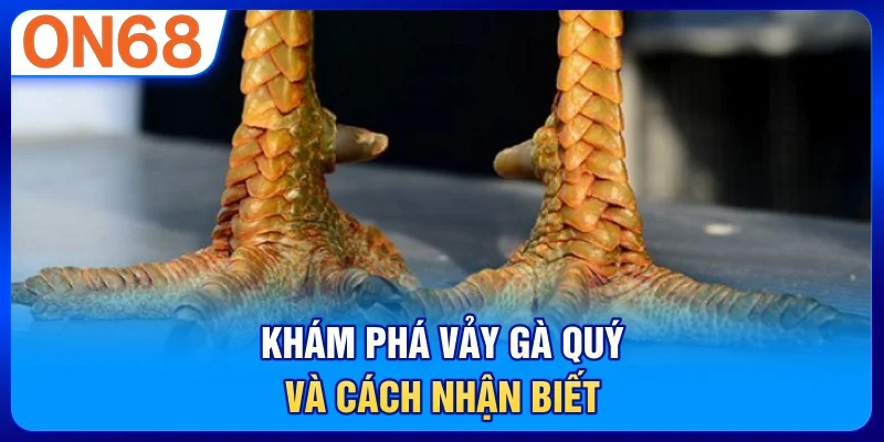 Khám phá vảy gà quý và cách nhận biết